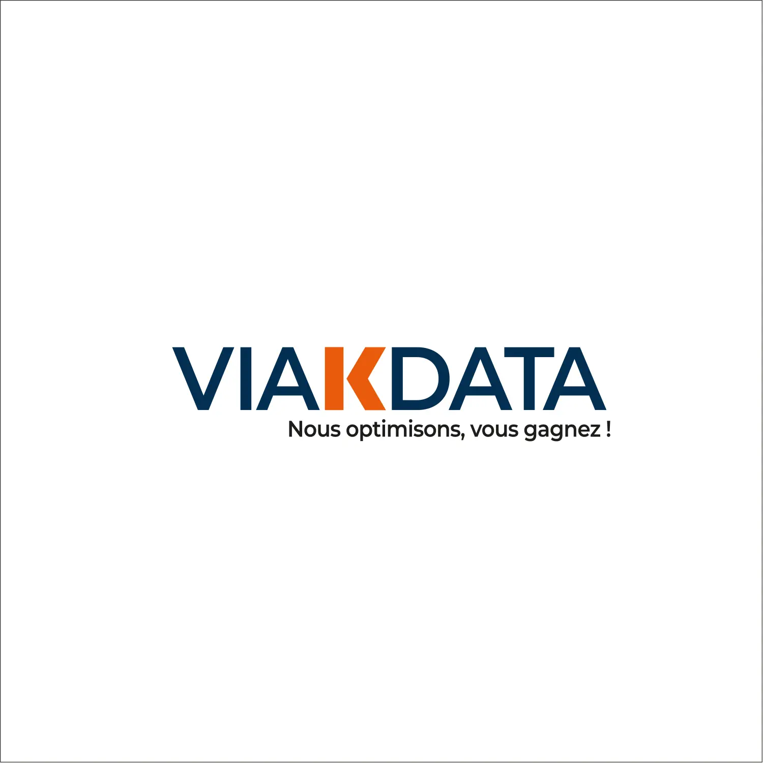 Logo Viakdata